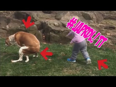 [CHALLENGE!] NIE ŚMIEJ SIĘ! – NAJŚMIESZNIEJSZE FILMIKI W INTERNECIE #01 – [CHALLENGE!]