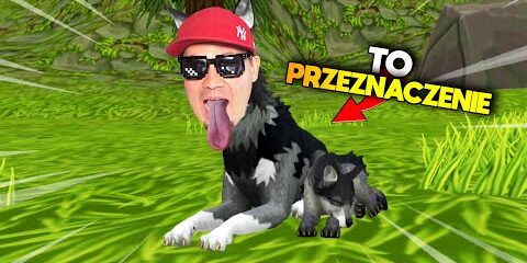 jestem-wilkiem-i-zjadam-kroliki-wildcraft.jpg 🐺 JESTEM WILKIEM I ZJADAM KRÓLIKI | Wildcraft 🐺