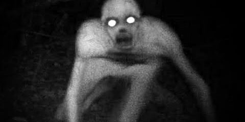 👹 POLOWANIE NA RAKE 👹