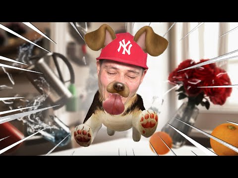 jestem-niegrzecznym-psem-symulator-psa-juniorski-gra.jpg 🐕 JESTEM NIEGRZECZNYM PSEM! | Symulator Psa | Juniorski Gra 🐕