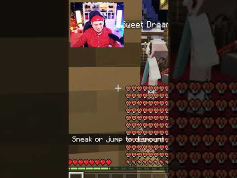 minecraft-oswajanie-huskiego-shorts.jpg Minecraft Oswajanie Huskiego #shorts