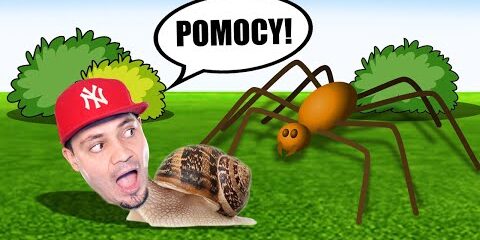 MOJE ŻYCIE JAKO ŚLIMAK 🐌 Ślimak Bob 2