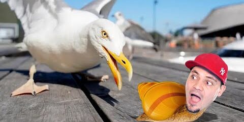 CIĘŻKIE ŻYCIE JAKO ŚLIMAK 🐌 Ślimak Bob 2