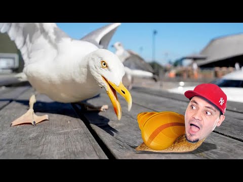 CIĘŻKIE ŻYCIE JAKO ŚLIMAK 🐌 Ślimak Bob 2