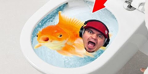 jestem-zlota-rybka-i-splukali-mnie-w-kiblu-i-am-fish.jpg JESTEM ZŁOTĄ RYBKĄ I SPŁUKALI MNIE W KIBLU! 🐠 I Am Fish