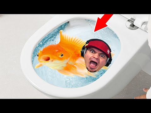 JESTEM ZŁOTĄ RYBKĄ I SPŁUKALI MNIE W KIBLU! 🐠 I Am Fish