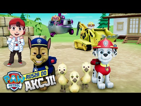 PSI PATROL RUSZA DO AKCJI! RATUJEMY KACZKI! 🐶