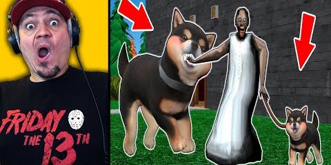 granny-pogryziona-przez-psy.jpg GRANNY POGRYZIONA PRZEZ PSY?! 🐶