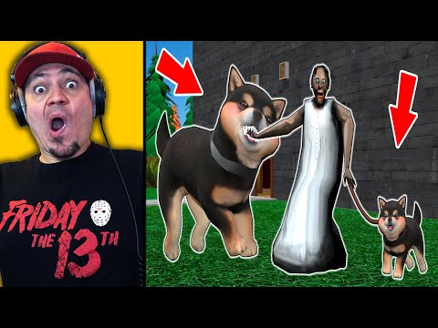 granny-pogryziona-przez-psy.jpg GRANNY POGRYZIONA PRZEZ PSY?! 🐶