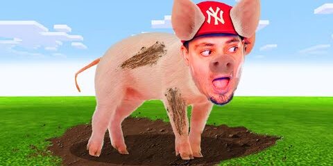 JESTEM ŚWINKĄ 🐖