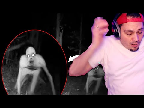 polujemy na strasznego potwora 😮 the rake