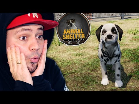 Adoptowałem DALMATYŃCZYKA! 🐶 Schronisko Simulator