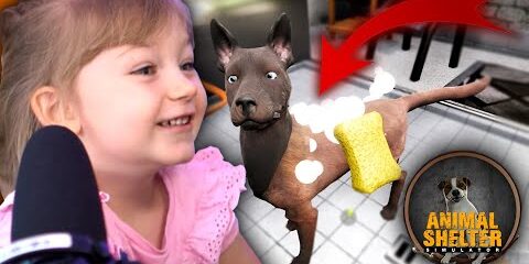 Adoptujemy [PSY] i „MYJEMY JE Z BRUDU” w SYMULATOR SCHRONISKA 🐕‍🦺