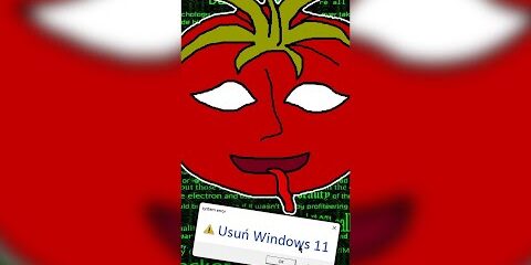 PAN POMIDOREK. EXE SHAKOWAŁ MI KOMPA! 🍅 Mr. TomatoS #shorts