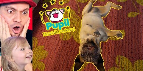 🐶 NASZ HOTEL DLA *PSÓW* i [PIERWSZY PIES] w SYMULATOR HOTELU DLA PSÓW!