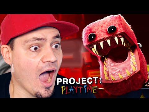 😯 POPPY PLAYTIME MULTIPLAYER! | Project Playtime [PREMIERA]