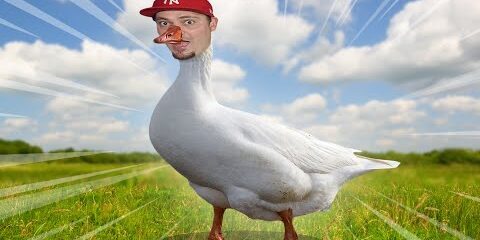 🦢 SYMULATOR GĘSI *jest bardzo zła* | Untitled Goose Game Multiplayer