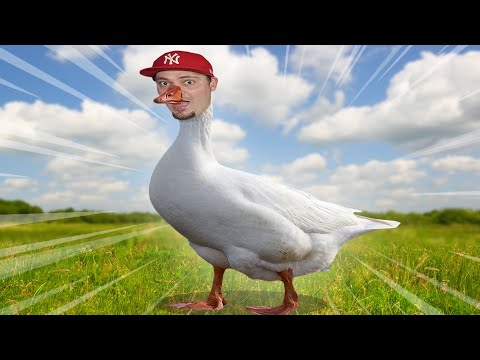 🦢 SYMULATOR GĘSI *jest bardzo zła* | Untitled Goose Game Multiplayer