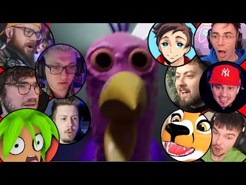 OPILA BIRD REACKJE YOUTUBERÓW WOJAN, ADMIROS, JUNIORSKY, PALION, MACIEKVR, SHARIKANVR