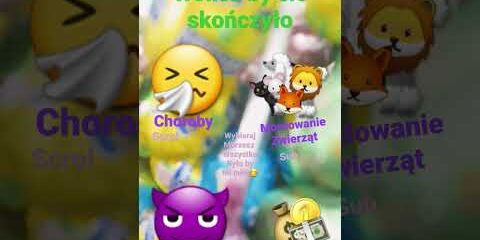 @juniorsky i juniorsky 2.0 pozdro