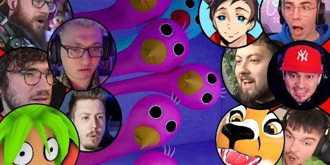 baby-opila-bird-reackje-youtuberow-wojan-admiros-juniorsky-palion-maciekvr-sharikanvr.jpg BABY OPILA BIRD REACKJE YOUTUBERÓW WOJAN, ADMIROS, JUNIORSKY, PALION, maciekVR, SHARIKANVR