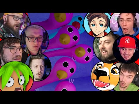 BABY OPILA BIRD REACKJE YOUTUBERÓW WOJAN, ADMIROS, JUNIORSKY, PALION, maciekVR, SHARIKANVR