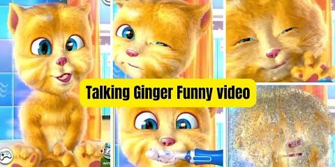 talking-ginger-funny-videos.jpg talking ginger funny videos