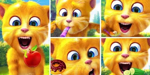 talking ginger | talking ginger funny videos | talking ginger 2