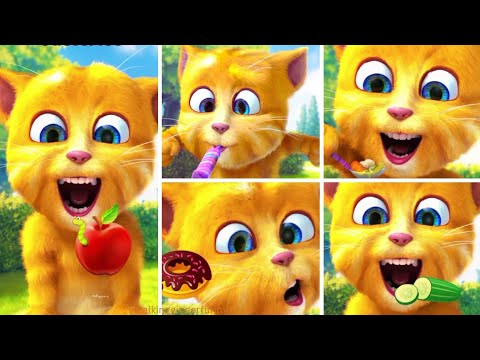 talking ginger | talking ginger funny videos | talking ginger 2
