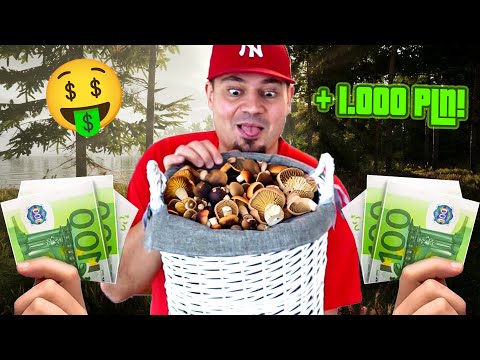 🍄 ZAROBIŁEM 1000 ZŁOTYCH NA GRZYBACH! *jestem bogata* | Mushroom Season #03