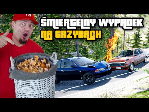 smiertelny-wypadek-na-grzybach-bo-znalazlem-caly-koszyk-kurek-mushroom-season-05.jpg 🍄 ŚMIERTELNY WYPADEK NA GRZYBACH, BO ZNALAZŁEM CAŁY KOSZYK KUREK! | Mushroom Season #05