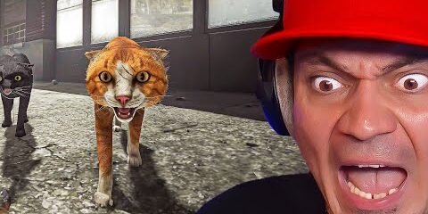 musze-walczyc-z-bezdomnymi-kotami-jako-adoptowany-kot-symulator-skrzywdzonego-kota-copycat.jpg 🐈 MUSZĘ WALCZYĆ Z BEZDOMNYMI KOTAMI, JAKO ADOPTOWANY KOT! *symulator skrzywdzonego kota* | Copycat