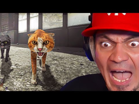 musze-walczyc-z-bezdomnymi-kotami-jako-adoptowany-kot-symulator-skrzywdzonego-kota-copycat.jpg 🐈 MUSZĘ WALCZYĆ Z BEZDOMNYMI KOTAMI, JAKO ADOPTOWANY KOT! *symulator skrzywdzonego kota* | Copycat