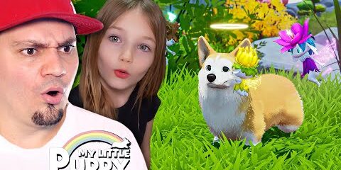 zycie-oczami-psa-w-niebie-symulator-psa-w-niebie-my-little-puppy.jpg 🐕👼 ŻYCIE OCZAMI PSA W NIEBIE *symulator psa w niebie* | My Little Puppy