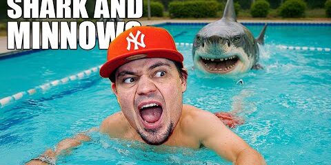 tralalelo-tralala-w-basenie-jestem-skonczony.jpg 🦈 TRALALELO TRALALA w basenie… JESTEM SKOŃCZONY!