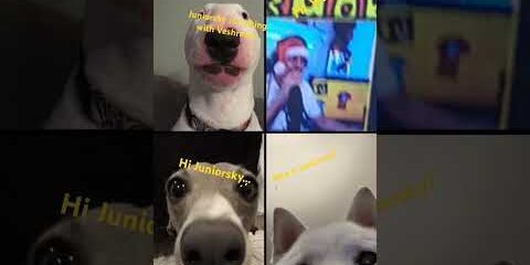 @Juniorsky @Veshremy