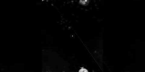 Juniorsky Granny Freddy! #shorts