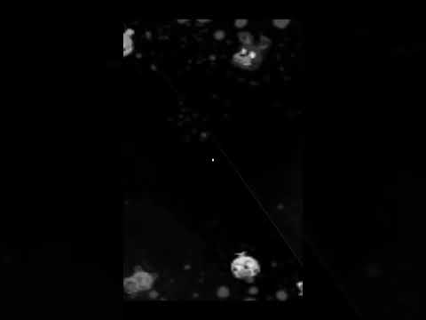 Juniorsky Granny Freddy! #shorts