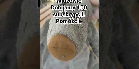 Widzowie dobijamy 100 subskrypcji! Pomóżcie #music #shorts #song Pozdro dla @Juniorsky♥️