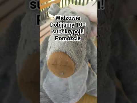 Widzowie dobijamy 100 subskrypcji! Pomóżcie #music #shorts #song Pozdro dla @Juniorsky♥️