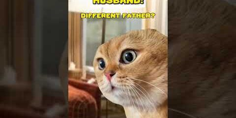 Father notices something strange 😅 (CAT VERSION🐈)  @lukedavidson81  #shorts